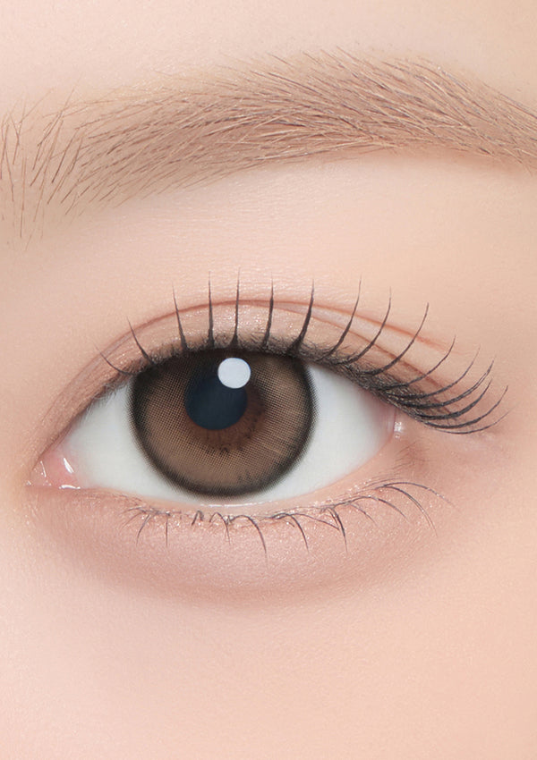 Chippy Co 1Day Nutnut Brown