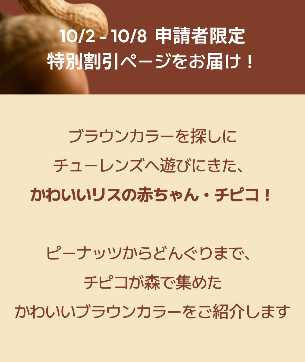 [先行販売] 秋の新作 Chippy-co🐿️