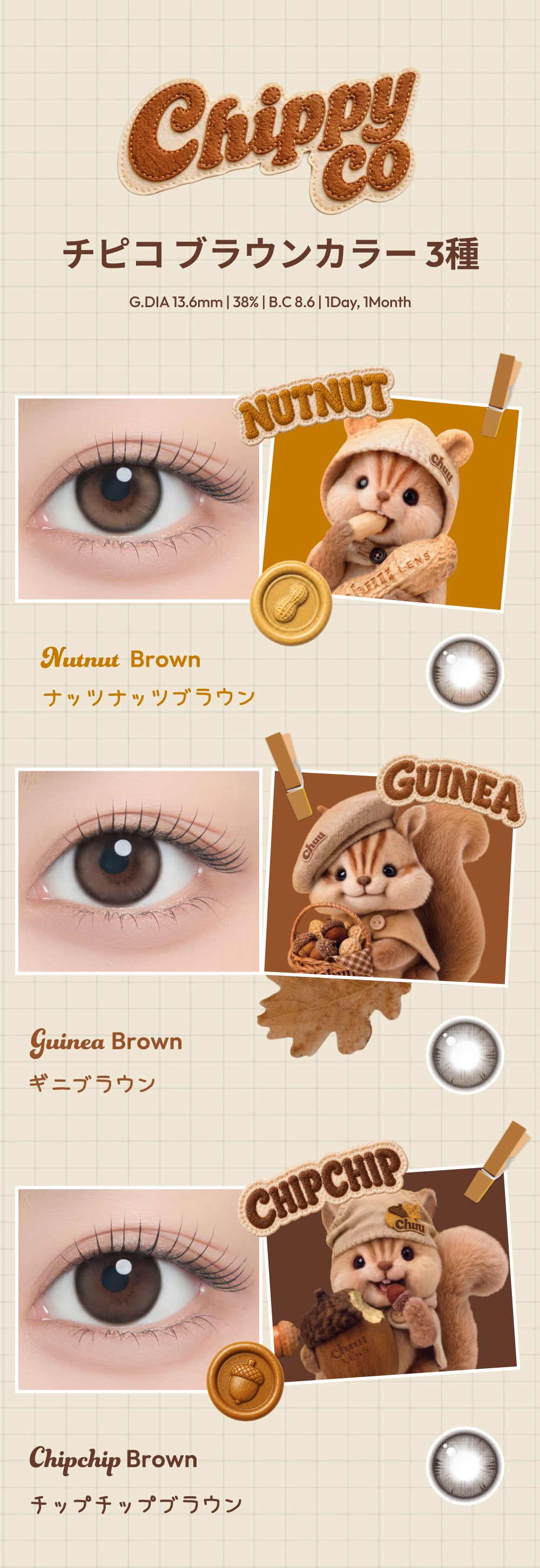 【公式サイト限定】チピコOPEN🐿🥜