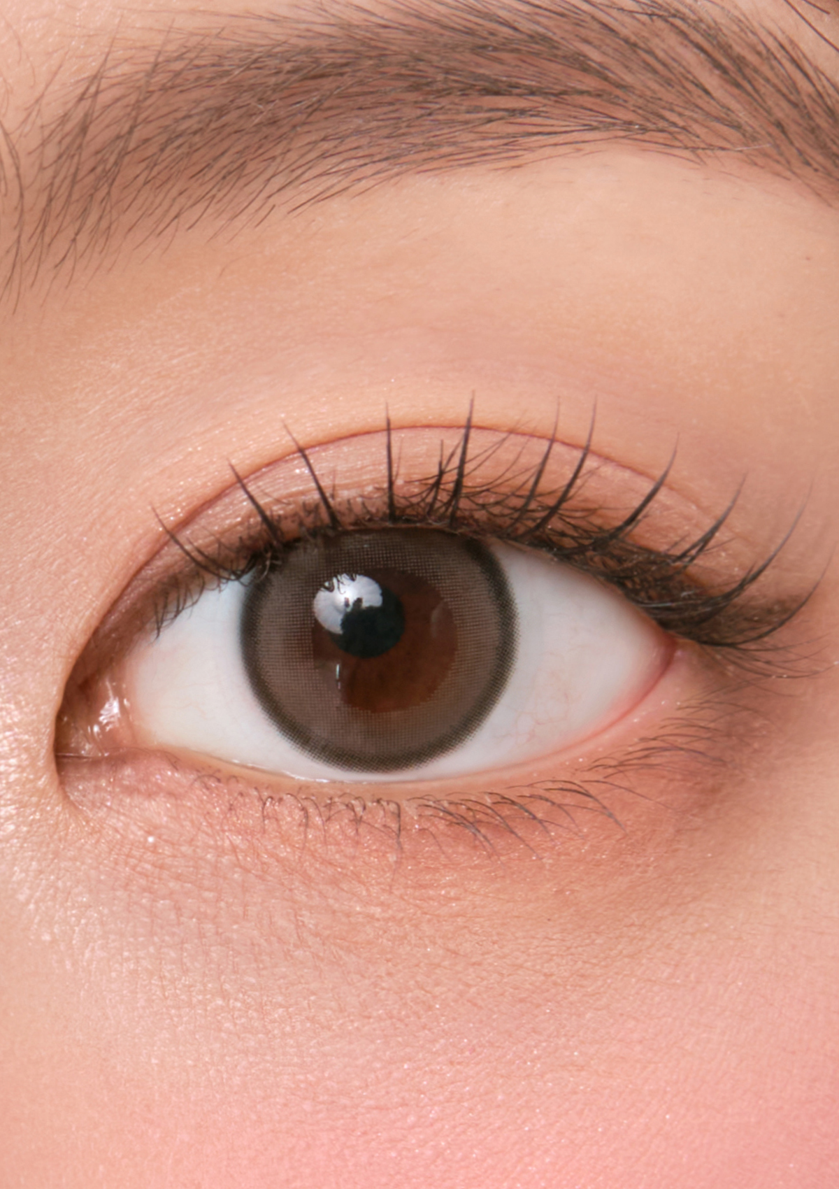 Chuu Lens] Aery Rose 1Day Lucid gray – chuu Lens JP