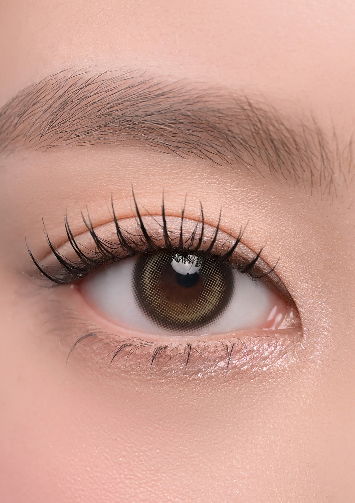 lily_sunleaf_1day_2_1200x.jpg?