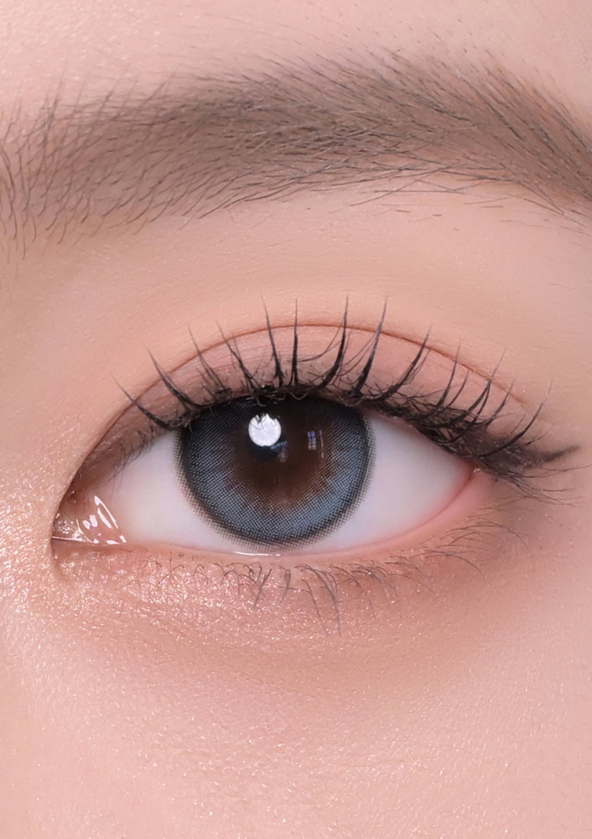 Daisy Shower 1Day Pure Blue – chuu Lens JP